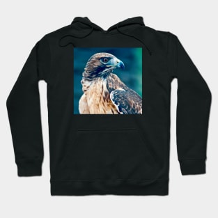 Wild Bird Hawk Hoodie